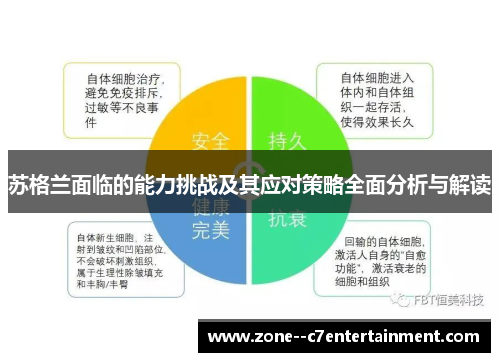 苏格兰面临的能力挑战及其应对策略全面分析与解读