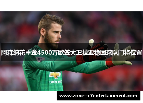 阿森纳花重金4500万欧签大卫拉亚稳固球队门将位置 阿森纳花重金4500万欧签大卫拉亚稳固球队门将位置