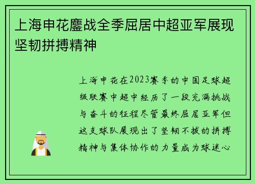 上海申花鏖战全季屈居中超亚军展现坚韧拼搏精神