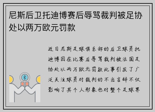 尼斯后卫托迪博赛后辱骂裁判被足协处以两万欧元罚款 尼斯后卫托迪博赛后辱骂裁判被足协处以两万欧元罚款
